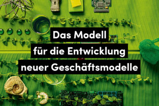 Business Model Innovation