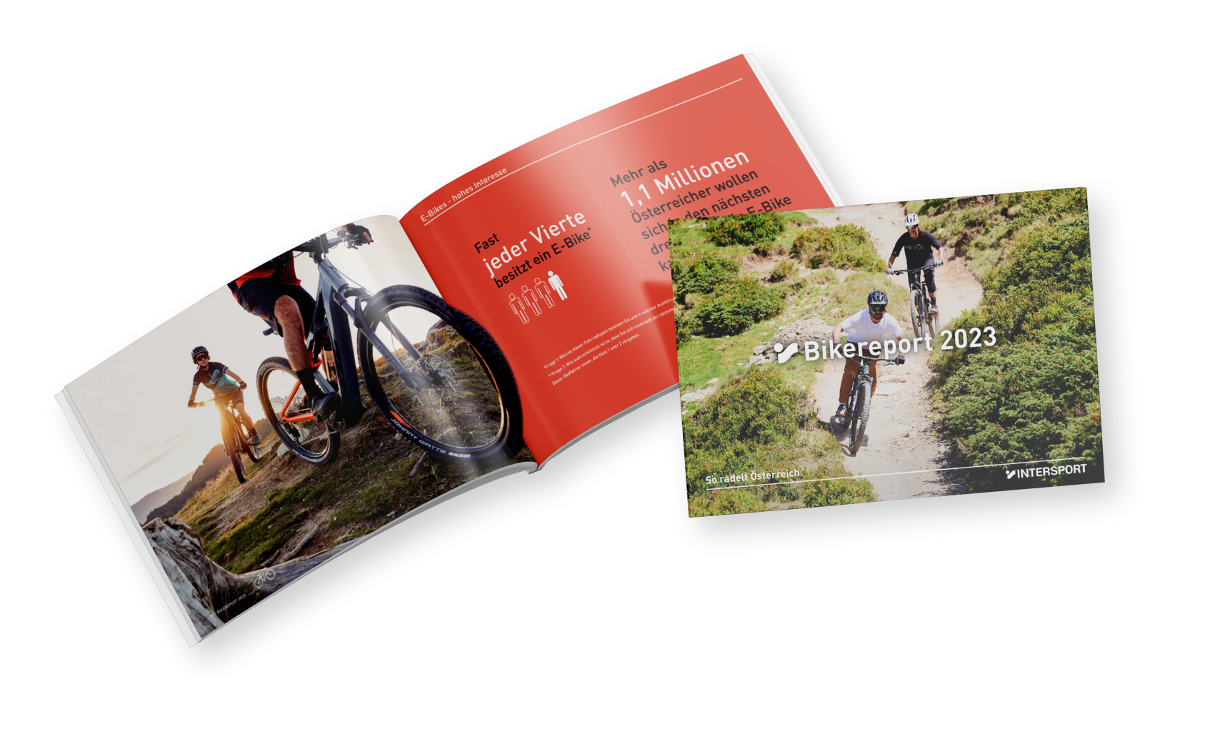 INTERSPORT Bikereport