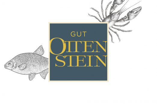 Ottenstein Manor Logo and Illustration