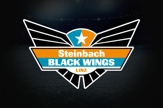 Logo Steinbach Black Wings