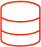Icon Data
