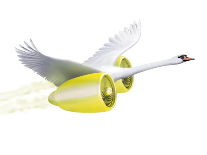 Turboschwan